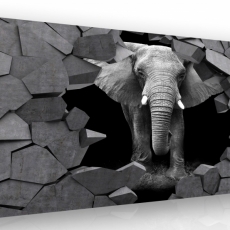 3D obraz Slon v kameni, 90x60 cm - 2