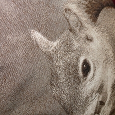 Dekorativní polštář s veverkou Cute, 45x45 cm - 3