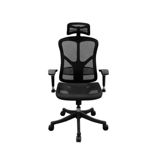 Ergonomcká kancelářská židle Tech Smart, síťovina, černá - 1