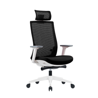 Ergonomická kancelářská židle Meteor White, síťovina, černá