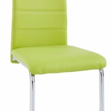 Jídelní židle Aber (SET 2 ks), zelená - 6