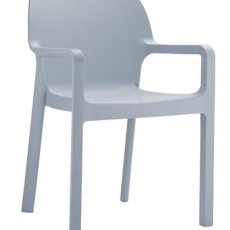 Jídelní židle s područkami Demy (SET 2 ks) - 3