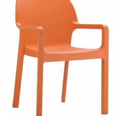 Jídelní židle s područkami Demy (SET 2 ks) - 4