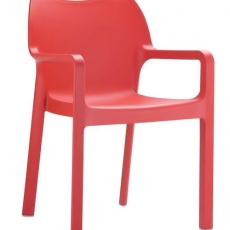 Jídelní židle s područkami Demy (SET 2 ks) - 5