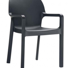 Jídelní židle s područkami Demy (SET 2 ks) - 6