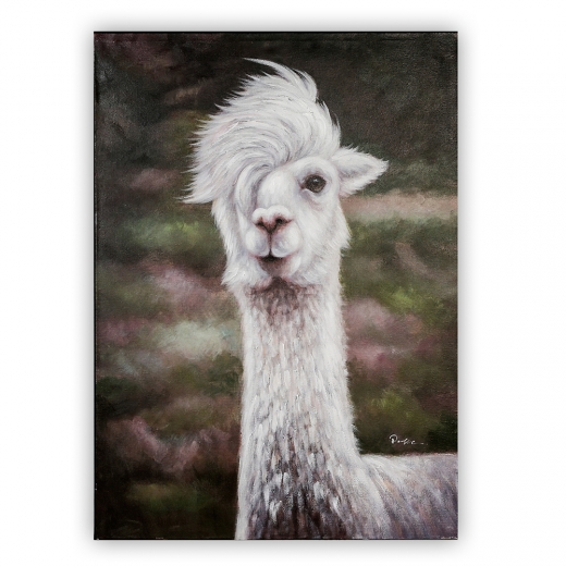 Obraz Cool Lama 100 cm, olej na plátne - 1