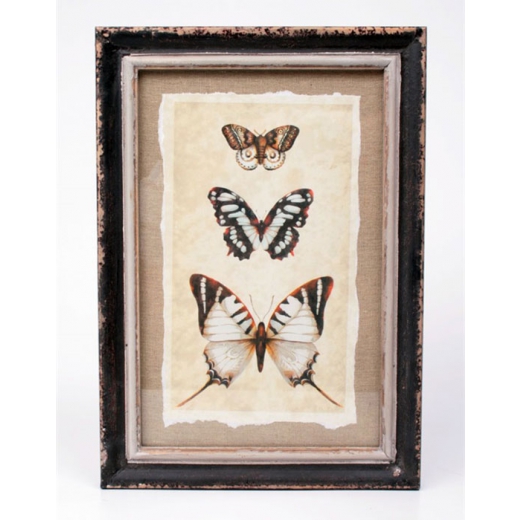 Obraz Motýli, 34x24 cm - 1