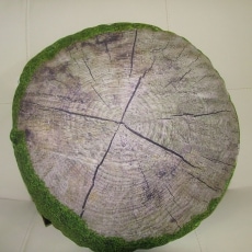 Polštář kulatý s mechovým potiskem Forest, 40 cm - 2