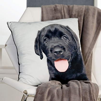 Dekorativní polštář Black Dog, 40 cm - 1