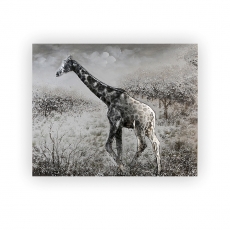 Obraz Žirafa 100 cm, olej na plátně