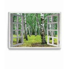 3D obraz březový háj, 100x80 cm