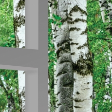 3D obraz březový háj, 80x60 cm - 4