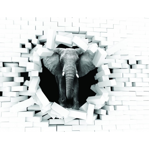 3D obraz do obývacej izby Slon, 90x60 cm - 1