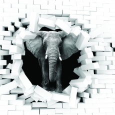 3D obraz do obývacej izby Slon, 90x60 cm - 1