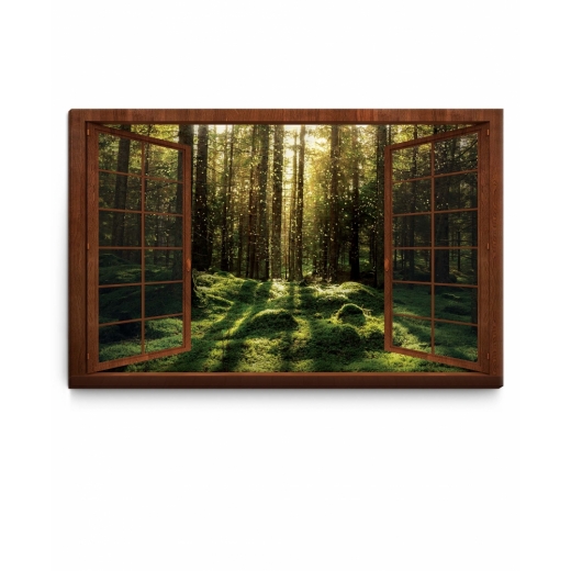 3D obraz Kouzelný mechový les, 120x80 cm - 1