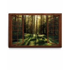 3D obraz Kouzelný mechový les, 90x60 cm