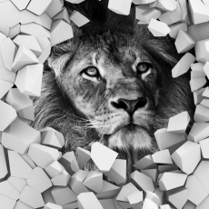 3D obraz Lev, 150x100 cm - 3