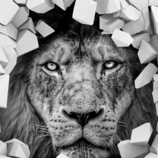 3D obraz Lev v stene, 150x100 cm - 4