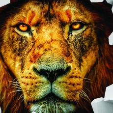 3D obraz na stěnu lev, 120x80 cm - 4