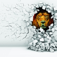 3D obraz na stěnu lev, 150x100 cm - 1