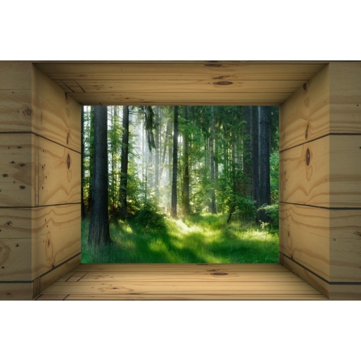 3D obraz Okno do lesa, 120x80 cm - 1