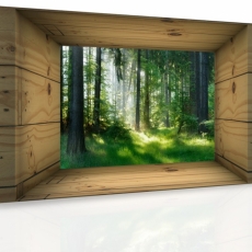 3D obraz Okno do lesa, 120x80 cm - 2