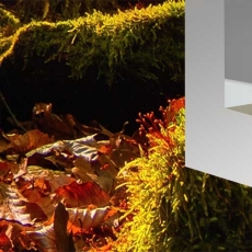 3D obraz Okno do přírody, 150x130 cm - 4