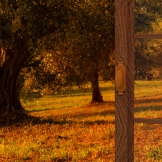 3D obraz Okno do raja prírody hnedé, 90x60 cm - 4