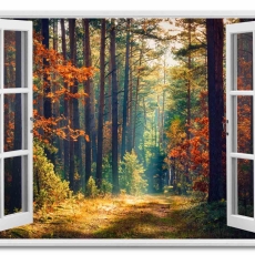 3D obraz Okno les plný barev, 120x80 cm - 1
