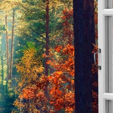 3D obraz Okno les plný barev, 120x80 cm - 4