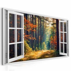 3D obraz Okno les plný barev, 30x20 cm - 2