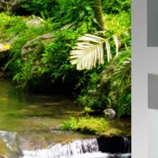 3D obraz Okno lesní říčka, 50x40 cm - 4