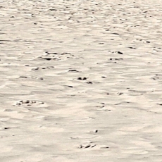 3D obraz Okno na pláž, 140x50 cm - 4
