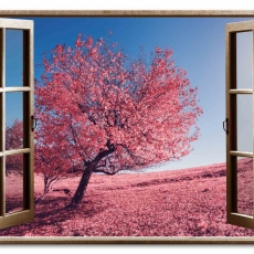 3D obraz Okno růžový strom, 120x80 cm - 3