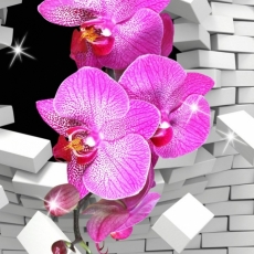 3D obraz Orchidea, 100x100 cm - 3