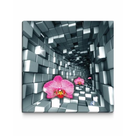 3D obraz Orchidea v tuneli, 100x100 cm - 1
