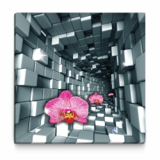 3D obraz Orchidea v tuneli, 100x100 cm - 1