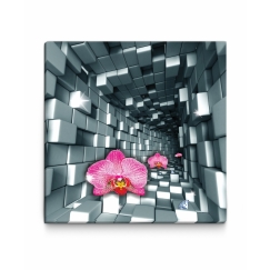 3D obraz Orchidea v tuneli, 100x100 cm