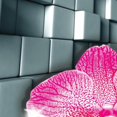 3D obraz Orchidej v tunelu, 100x100 cm - 4