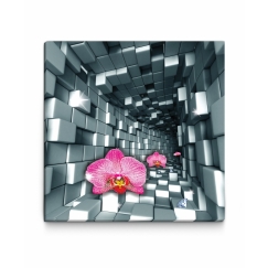 3D obraz Orchidej v tunelu, 80x80 cm