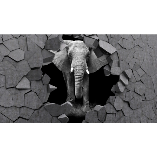 3D obraz Slon v kameni, 150x100 cm - 1
