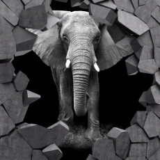 3D obraz Slon v kameni, 150x100 cm - 1