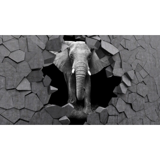 3D obraz Slon v kameni, 60x40 cm