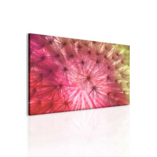 Abstraktní obraz Chmýří pampelišek, 150x100 cm - 1