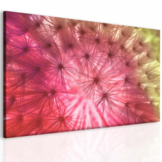 Abstraktní obraz Chmýří pampelišek, 150x100 cm - 1