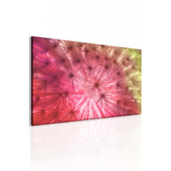 Abstraktní obraz Chmýří pampelišek, 150x100 cm