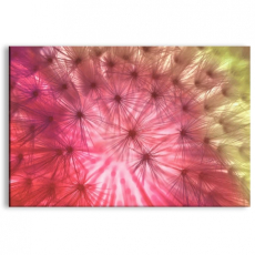 Abstraktný obraz Páperie púpav, 150x100 cm - 3