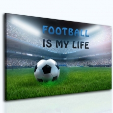 Dětský obraz Fotbalový stadion, 90x60 cm - 2