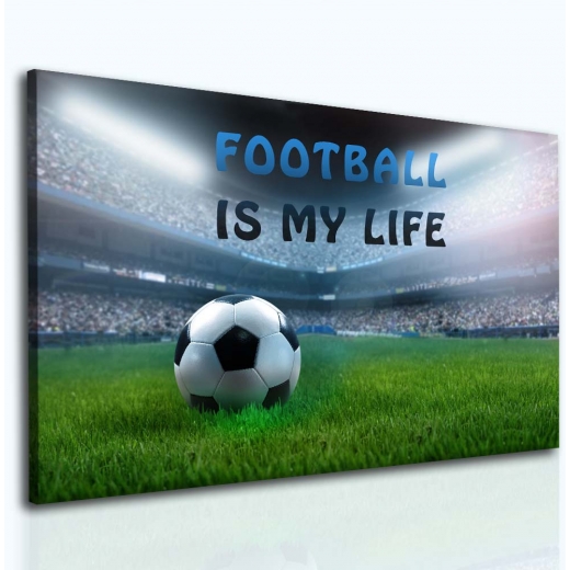 Detský obraz Futbalový štadión, 40x30 cm - 1