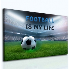 Detský obraz Futbalový štadión, 40x30 cm